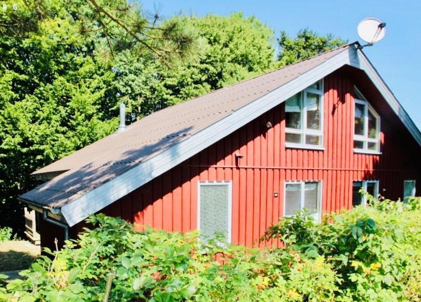 Premium-Ferienhaus Extertal Ferienpark - Natur Erholung Sauna Familie Exterior foto